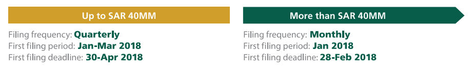 Annual Taxable Supplies of VAT-Registered Businesses