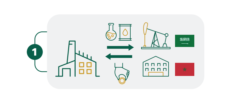 Domestic and exported sales, and domestic and imported inputs