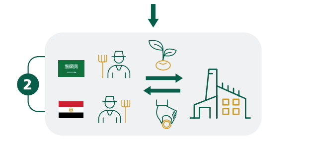 Domestic and exported sales, and domestic and imported inputs
